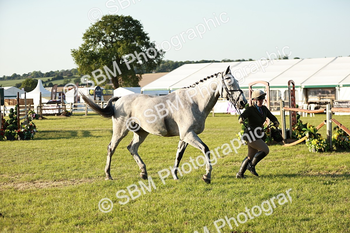 SBM_20557 - Class 117-119 - Sport Horse Working Hunter