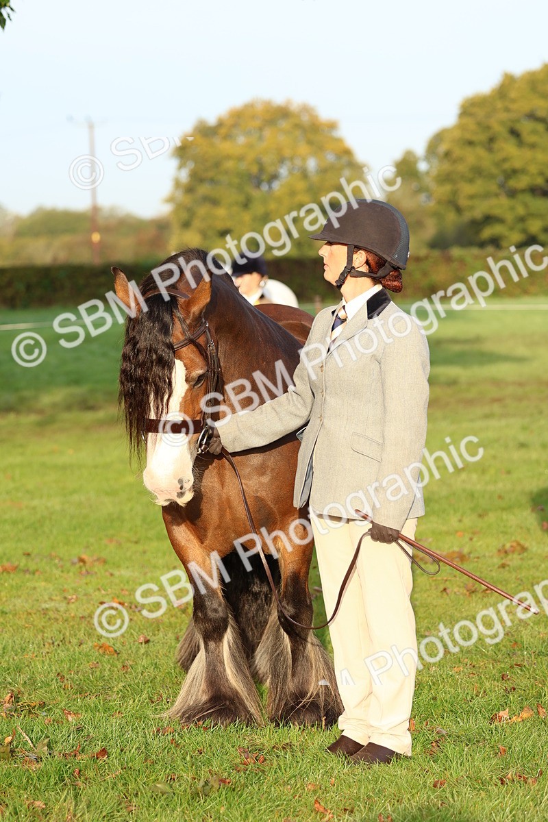 SBM_54571 - S38 - Starters Best Turnout