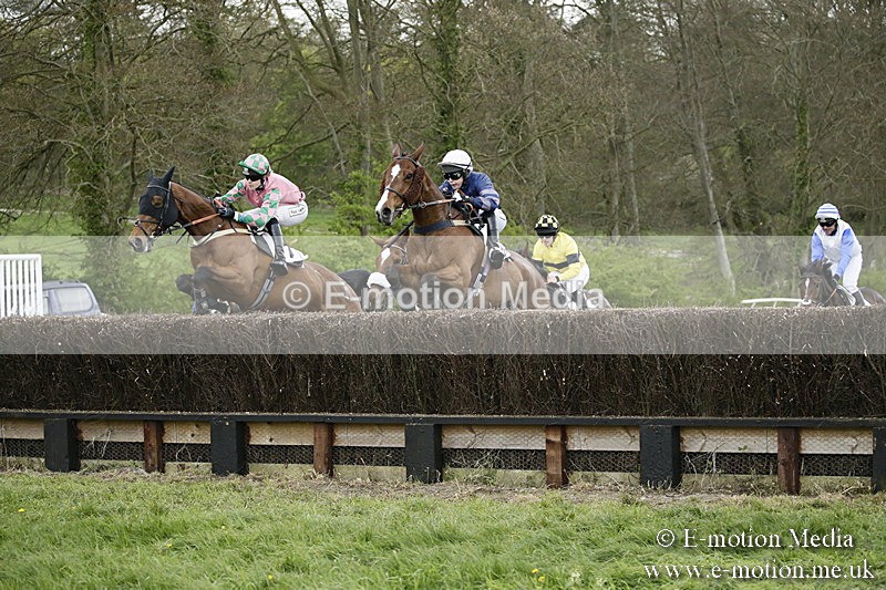 PtP 170417 510 - Old Berks Point-to-Point Lockinge 17/04/17
