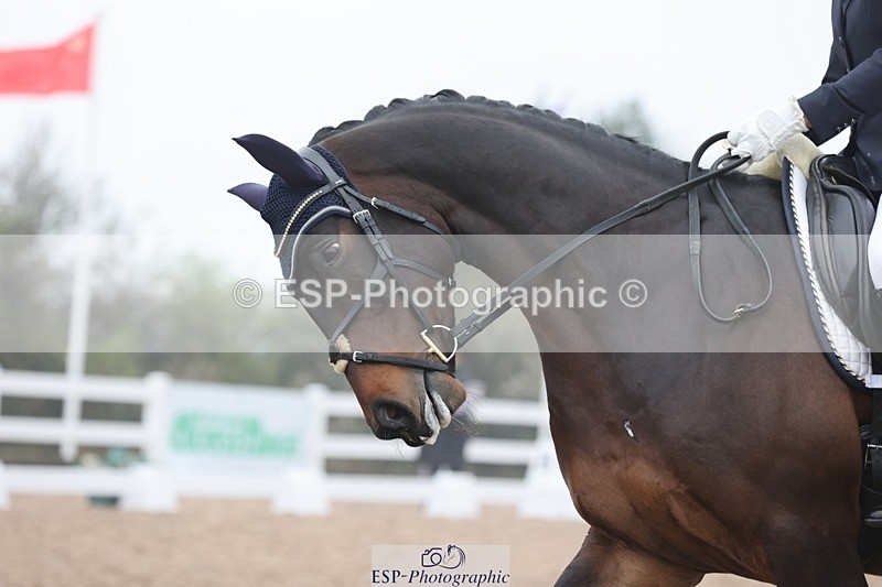 250404-094415-04572 - 083+087-ellie.romanello+Jenny.Lo-vel