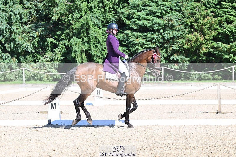 240811-154530-06843 - Inter I Silver