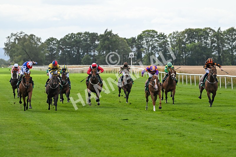 080825-Race 4-Equity Law-2323 - Race 4