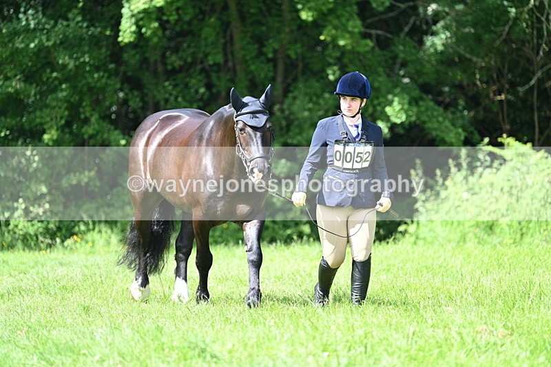 WJ7_0992 - Class 11 Condition & Turnout