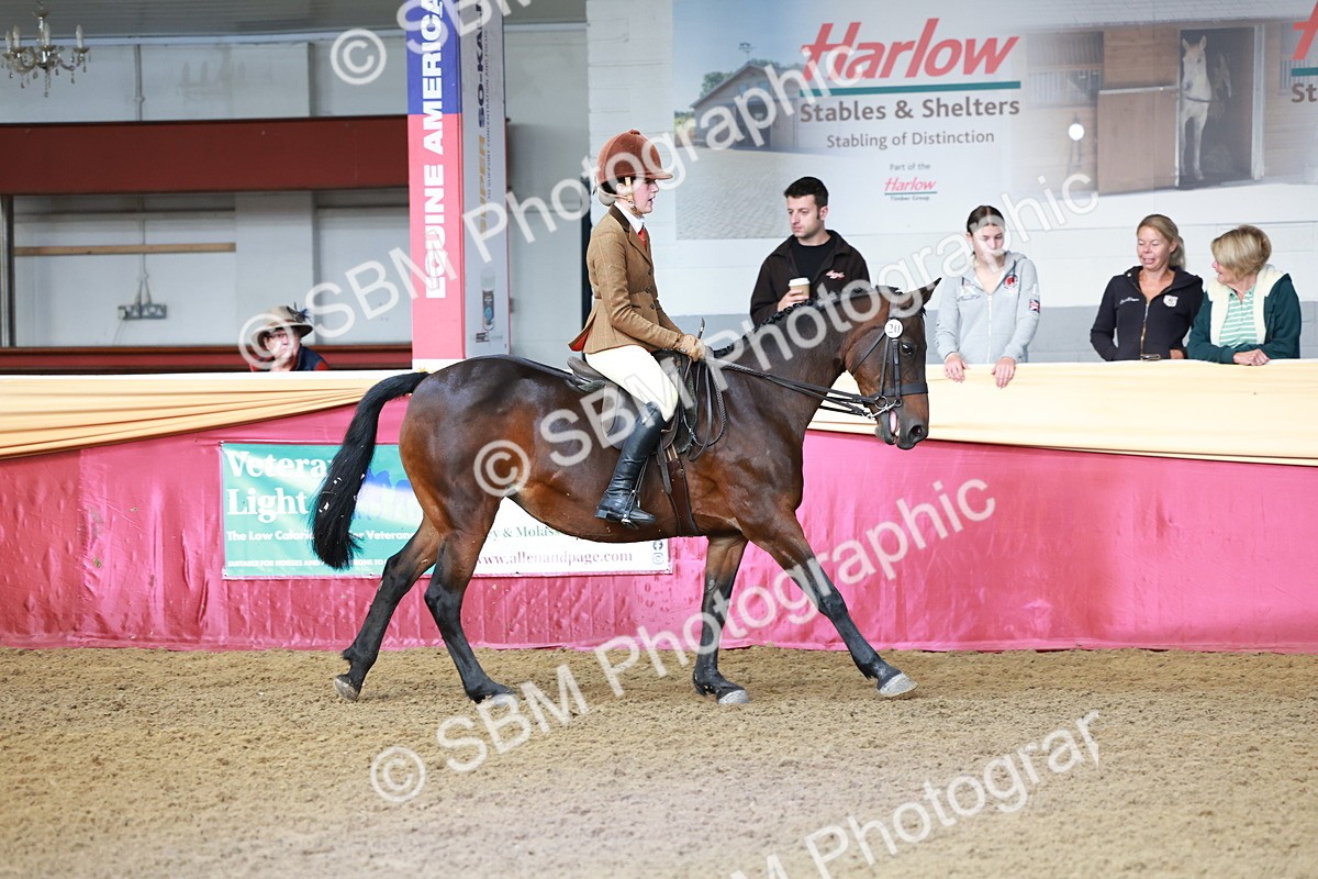 SBM_11920 - Class 102 - Equitation (Best Rider) Adult