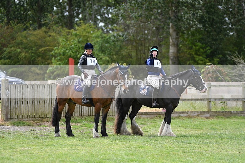 WJ5_2775 - Class 3 60cm Pairs