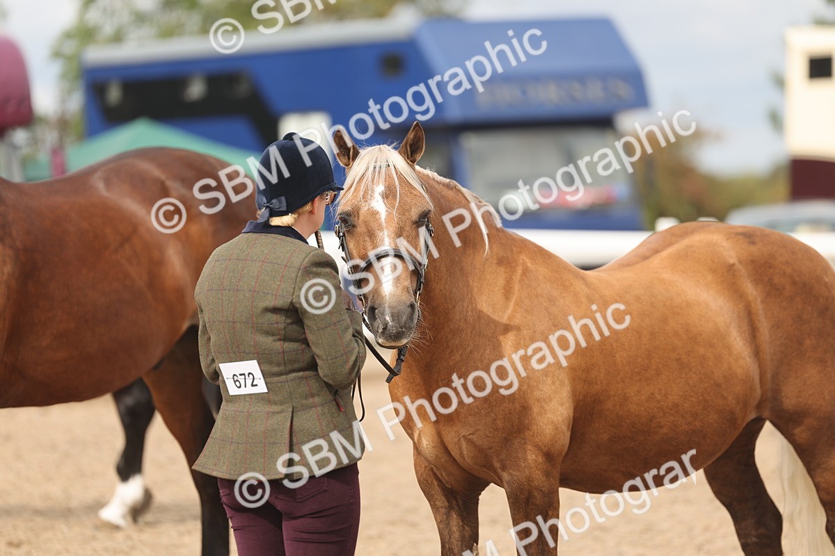 SBM_05008 - Class 20 - IH Veteran