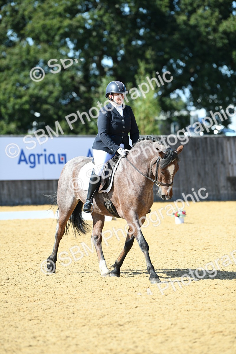 SBM_24726 - D13 - Grand Tour Championship - Prelim 12