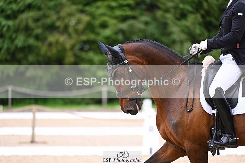 240524-121656-09236 - 541-FRIENDSHIP_VDL-Aaron_Millar