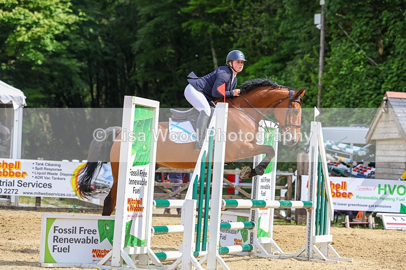 3E7A8746 - Class 4: Senior British Novice/90cm open