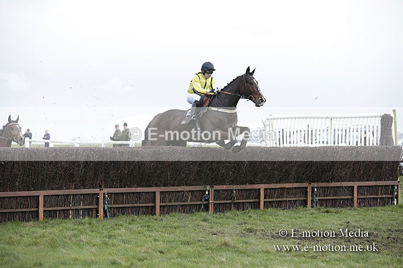 PtP 150320 0575 - New Forest Point-to-Point Larkhill 15/03/20