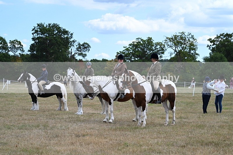 WJ7_5496 - Class 12 Ridden Cob