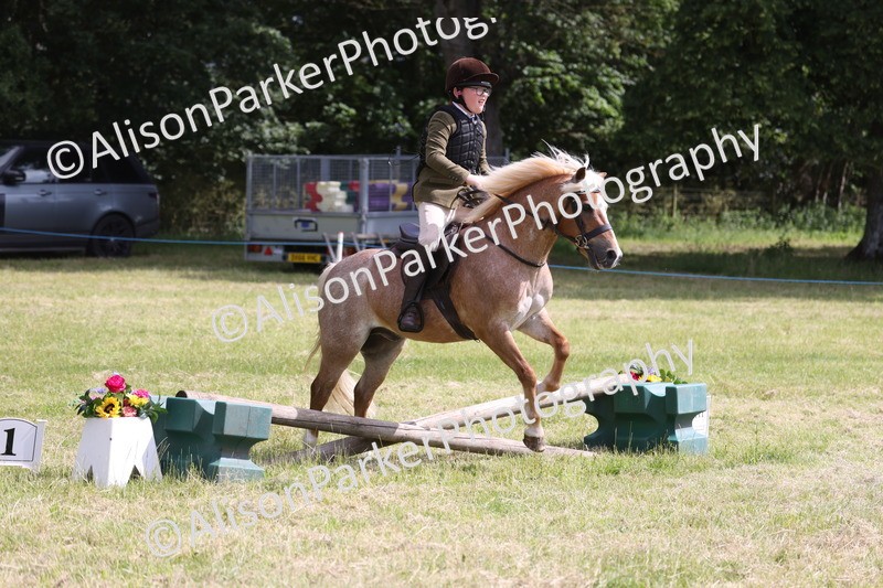 20260614-0742 - Class 20 - Beginners Working Hunter Pony