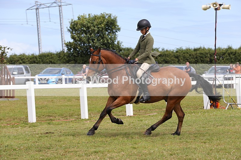 1X9A4018 - Class 32: Show Hunter Pony 153cm and under