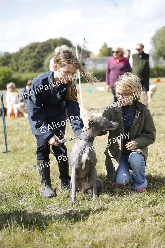 20250831-3676 - Dog Show