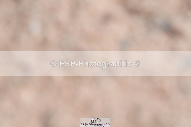 250511-090336-12858 - Cls 30 Snr British Novice and 90cm Open