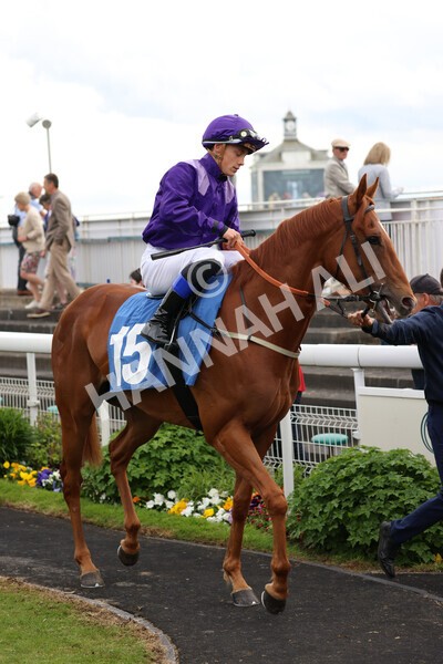 yr22052022r3-32 - Race 3: 4:35pm Sky Bet Sunday Series Dash