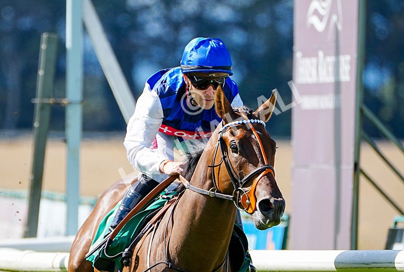050926-Race 1-Prince Kameo-5 - Race 1 1.35pm Personal Touches Day Of Elegance Nursery Handicap