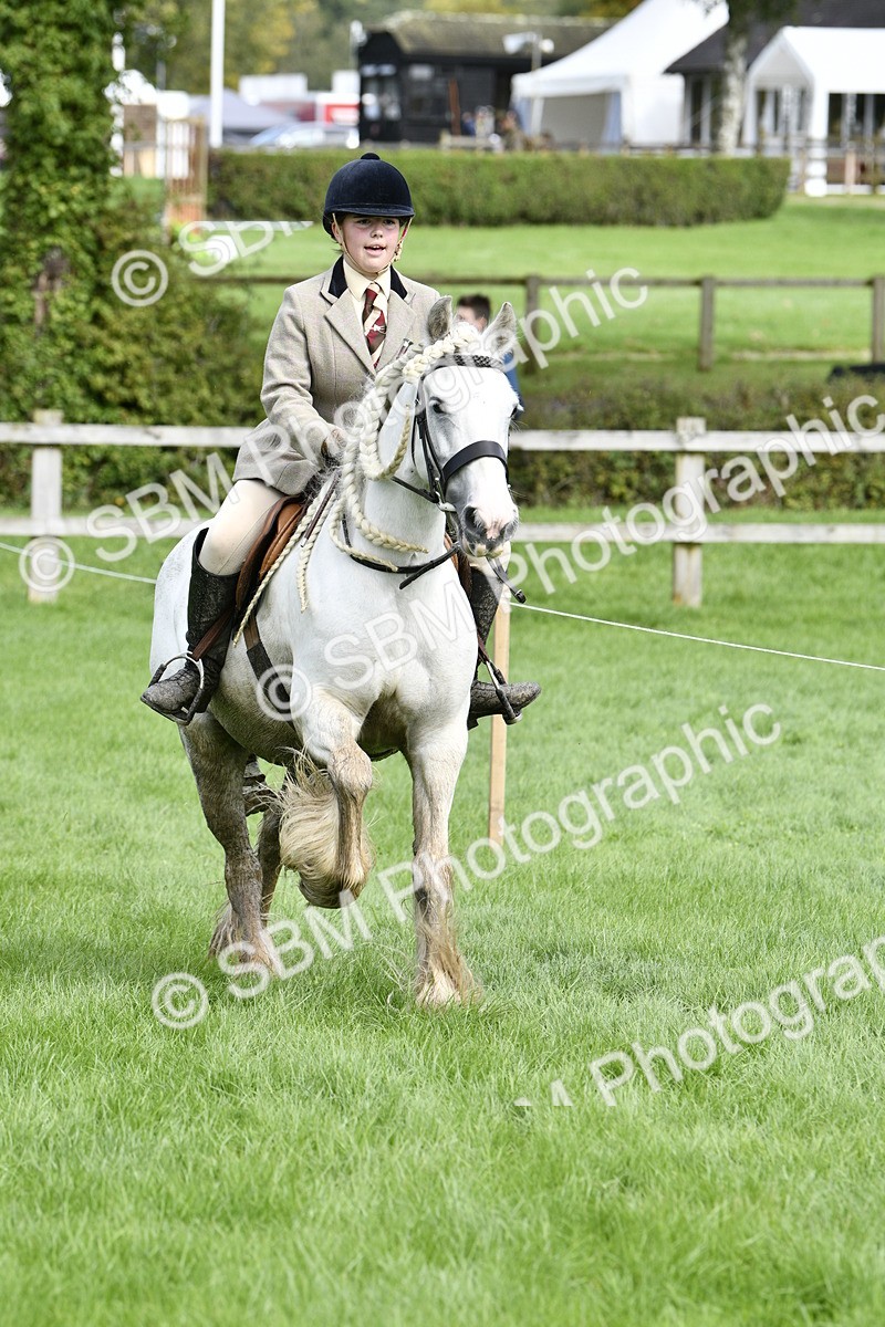 SBM_41579 - S32 - Mountain & Moorland Working Hunter Pony