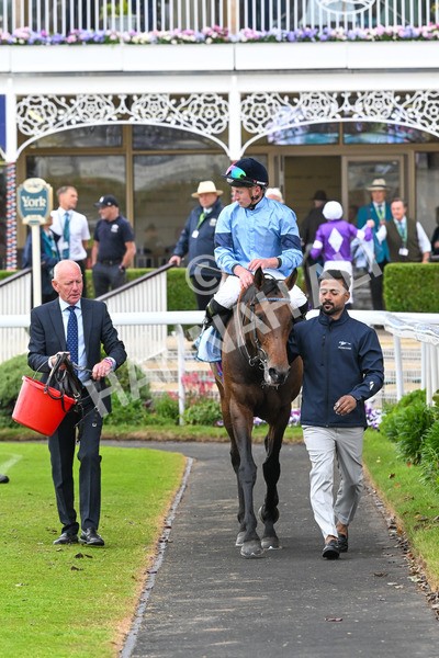 150525-Merchant-5384 - Race 7 5.25pm Haxby Handicap
