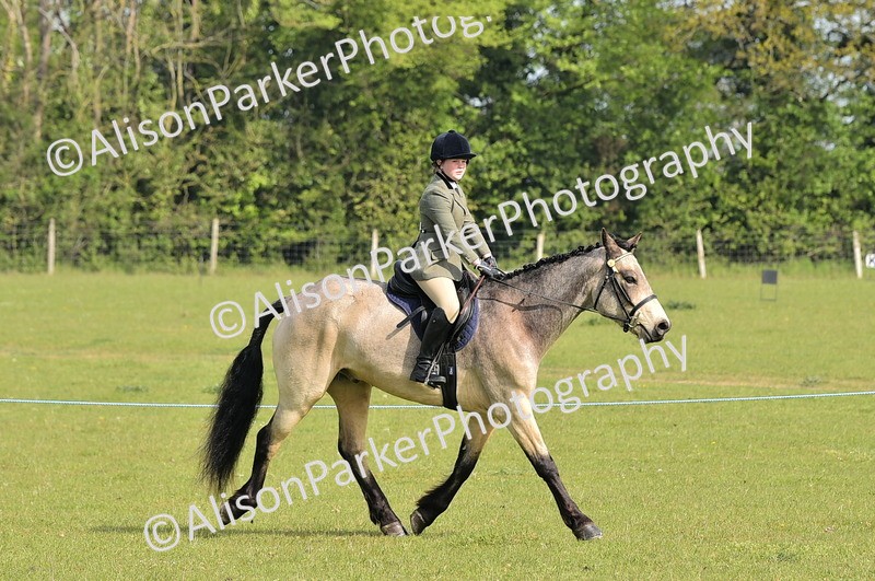 20260426-0931 - Class 18 - Novice Showing