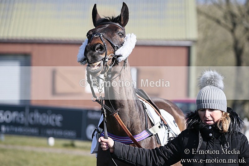 PtP 240218 1 - Vine & Craven Hunt Point-to-Point Barbury racecourse 24/02/18