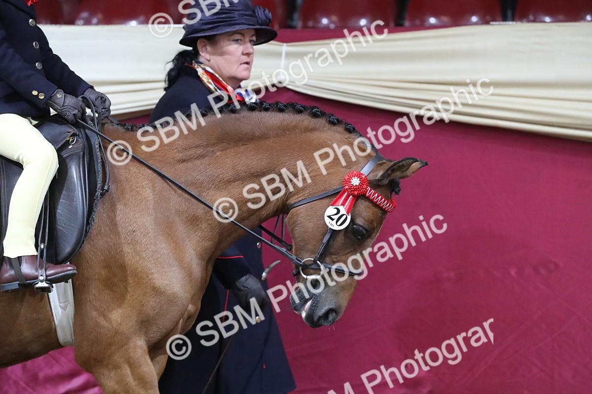 SBM_09233 - Class 101 Equitation (best rider), Junior