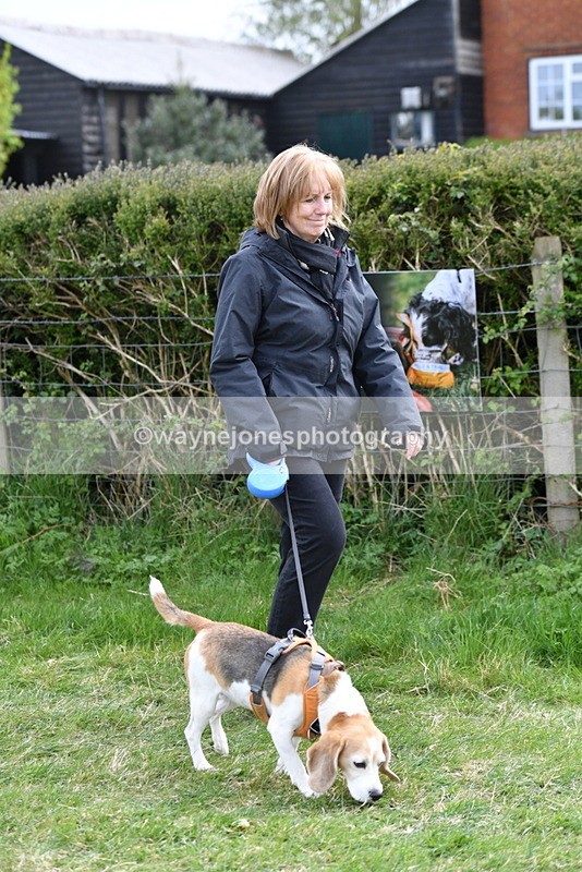 WJ5_9911 - Class 5 Best Veteran / 7 years & over