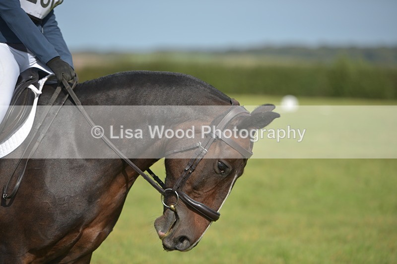 RAY_7803 - Class 2B: Trekenning Open: Dressage