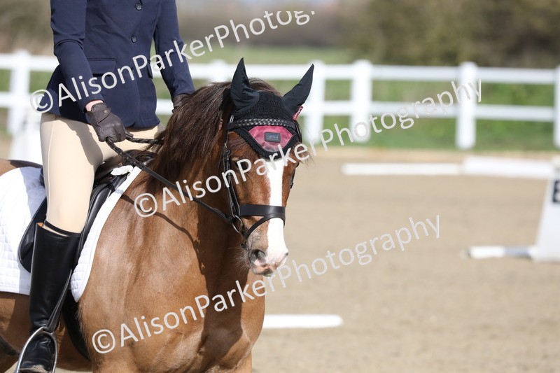 20260314-0252 - DR1 - Intro 1