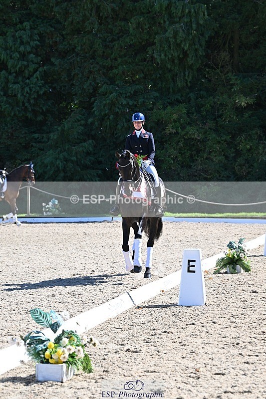 240811-154047-06759 - Inter I Gold