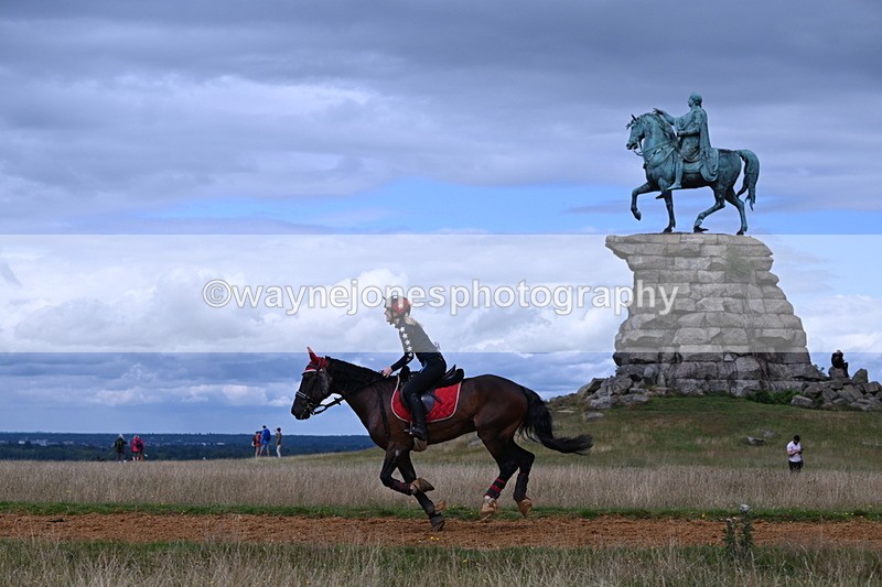 DSC_8932 - Time at Statue 14:33 to 15:10