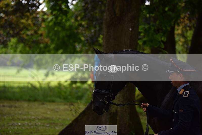 240522-152832-00364 - 359-PROMISING_PETE_TSF-Felix_Etzel