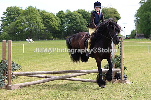 IMG_3259 - Working Hunter