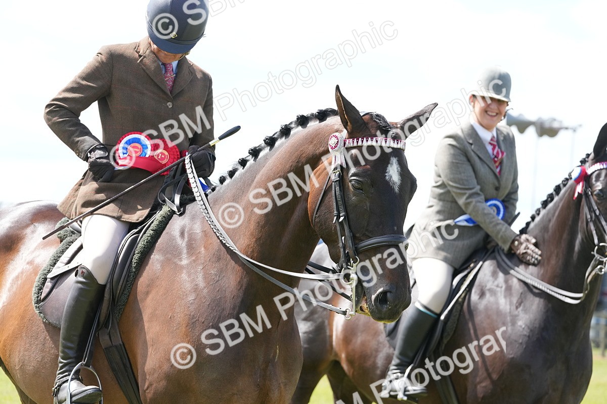 SBM_16311 - Class 105-106 - RIHS Riding Horses