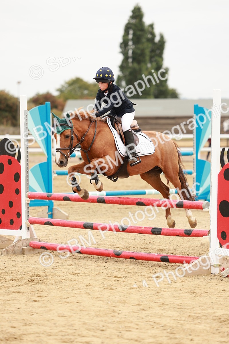 SBM_008282 - Class 5 - 80cm