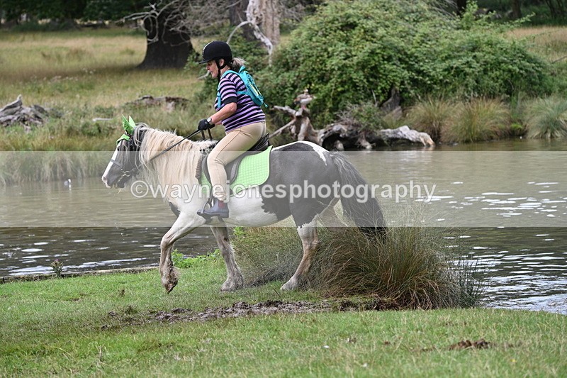 WJ7_2276 - Time at Water 11:14 to 11:36