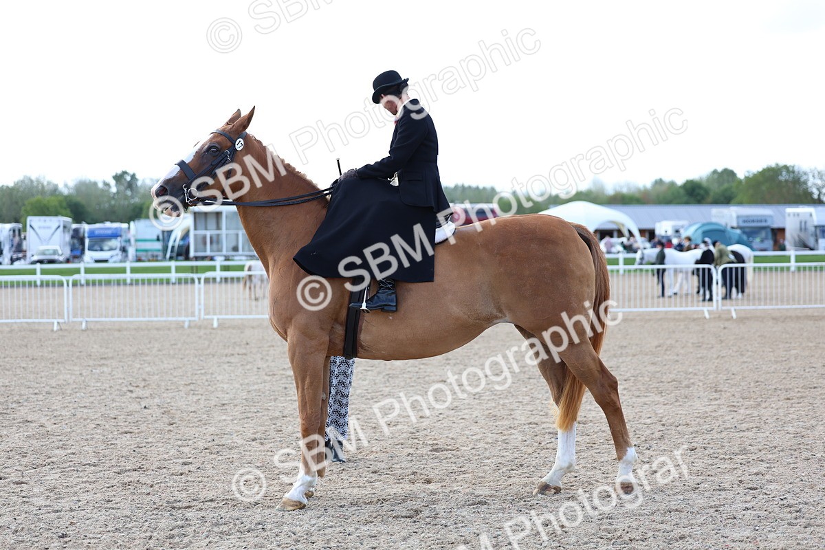 SBM_11214 - Class 306 - Ridden Foreign Breeds - Part Bred