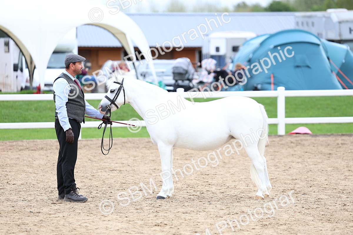 SBM_05929 - Class 29 - IH Veteran Pony