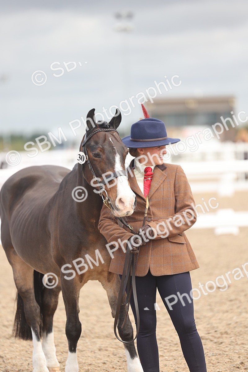 SBM_04473 - Class 18 - Handsomest Gelding (IH or Ridden)