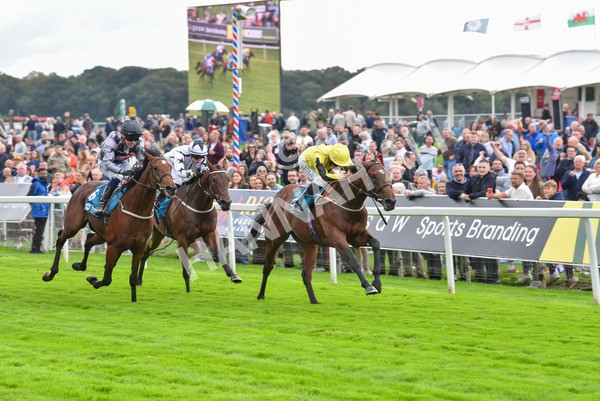 230923-Race 3-Politico-6282 - Race 3 3.10pm Happy 60th Birthday Angela Clark Nursery Handicap