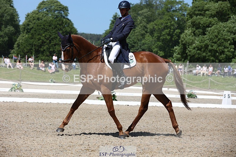 230526-114541-06107 - 156-JUST_PERFECT-Gaspard_Maksud-WEDTrotUp+DR