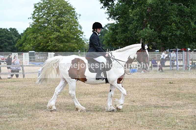 WJ7_1345 - Class 8 Ridden Veterans