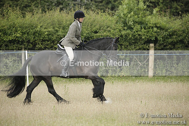 B230619-0165 - Bourne Valley Riding Club Summer Show 23/06/19