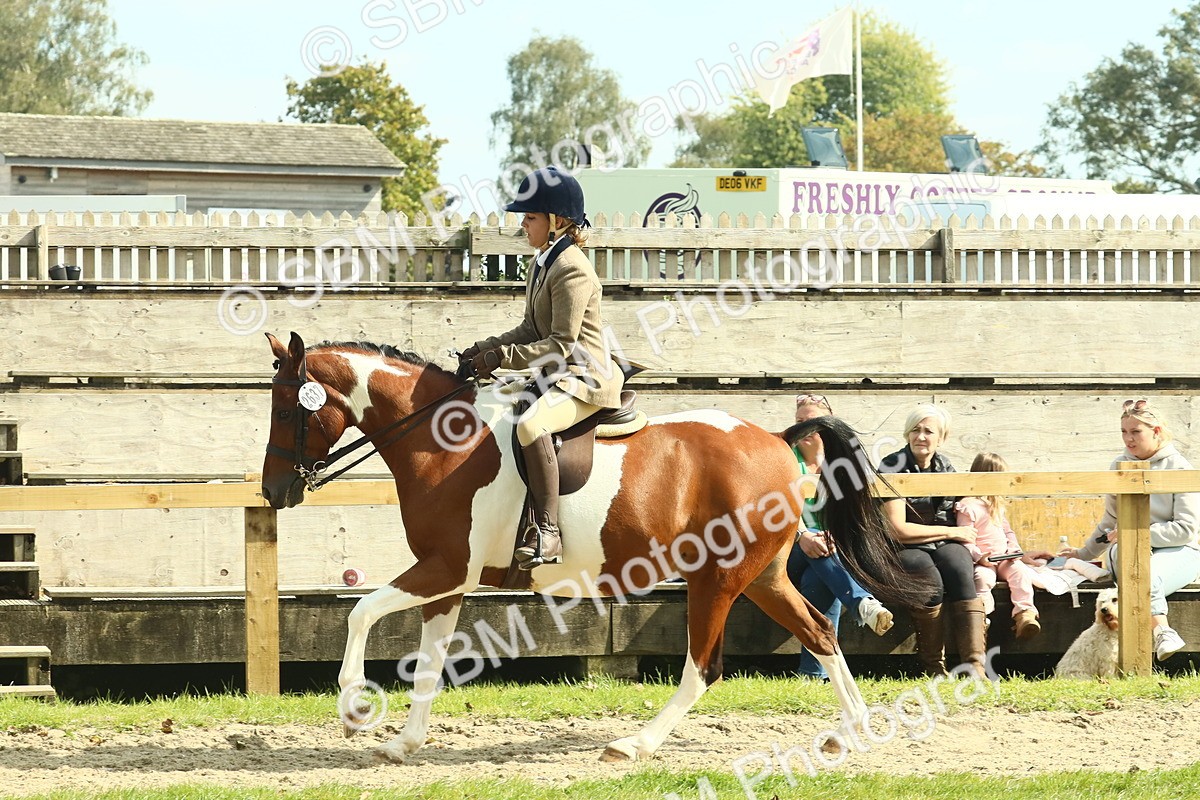 SBM_67508 - S56 - Coloured Pony Ridden
