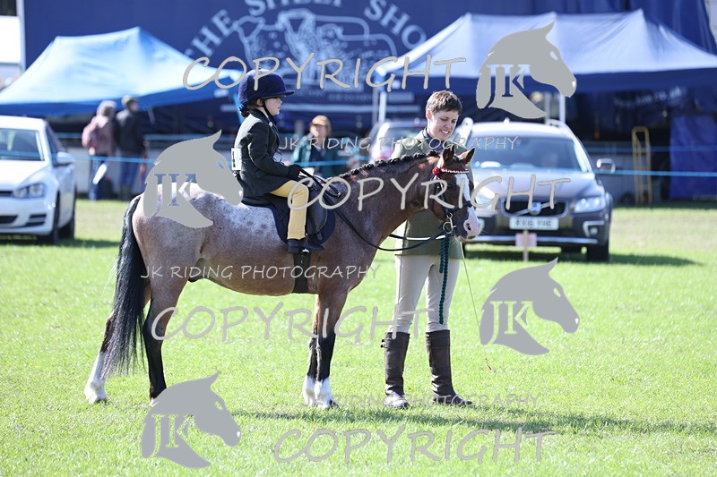 APP_3854 - Class 13 Lead rein