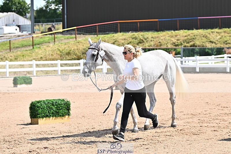 240718A-105240-00998 - Trot Up 11am to 12pm