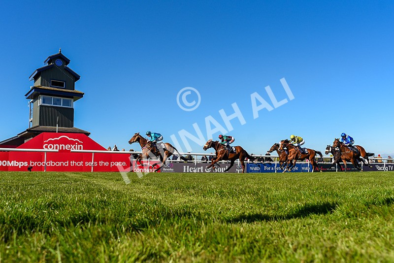 230426-Race 6-Tees George-1292 - Race 6