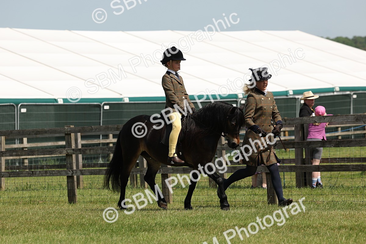 SBM_05200 - Class 24-25 - Mountain & Moorland In Hand Lead Rein and First Ridden