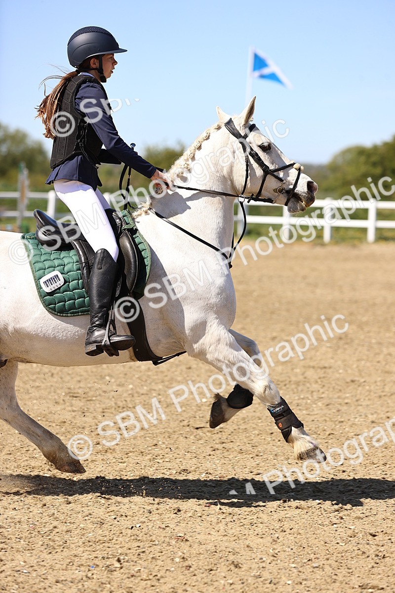 SBM_002746 - 80cm