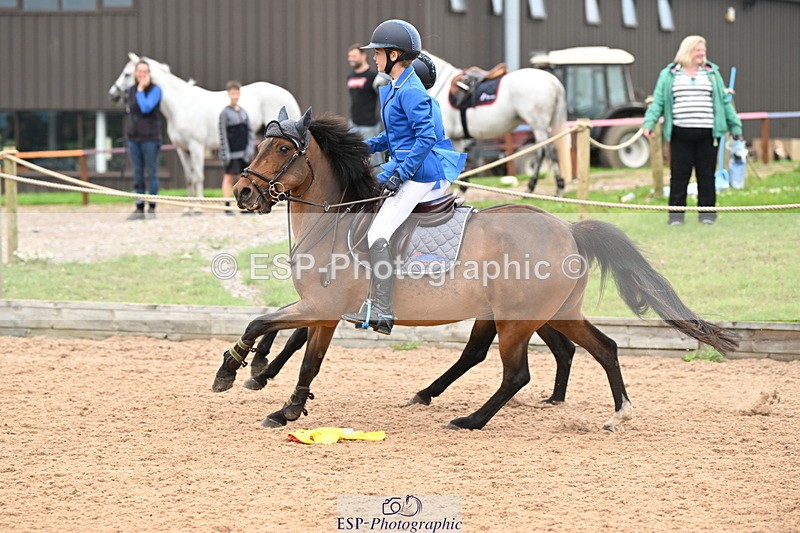 240907A-132907-01999 - Cls 3 Pony Medium Team 80cm & 90cm